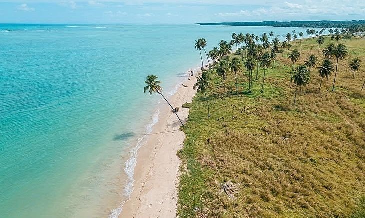 Vista aérea da Praia do Patacho, com faixa de areia clara e coqueirais